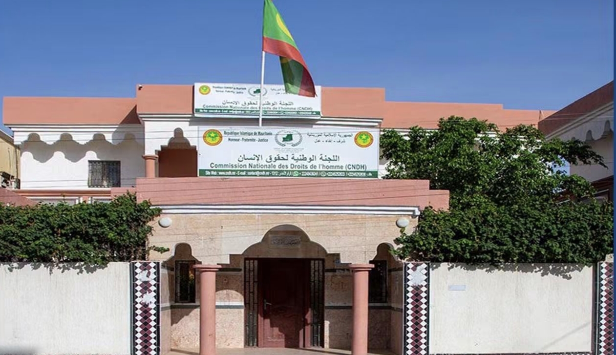 لجنة حقوق الإنسان تزور موقوفي «ملف المدونين» وتعلن عدم تسجيل شكاوى بشأن سوء المعاملة